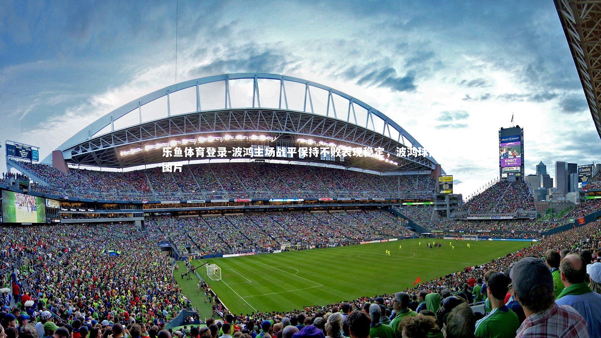 波鸿主场战平保持不败表现稳定,波鸿球队图片