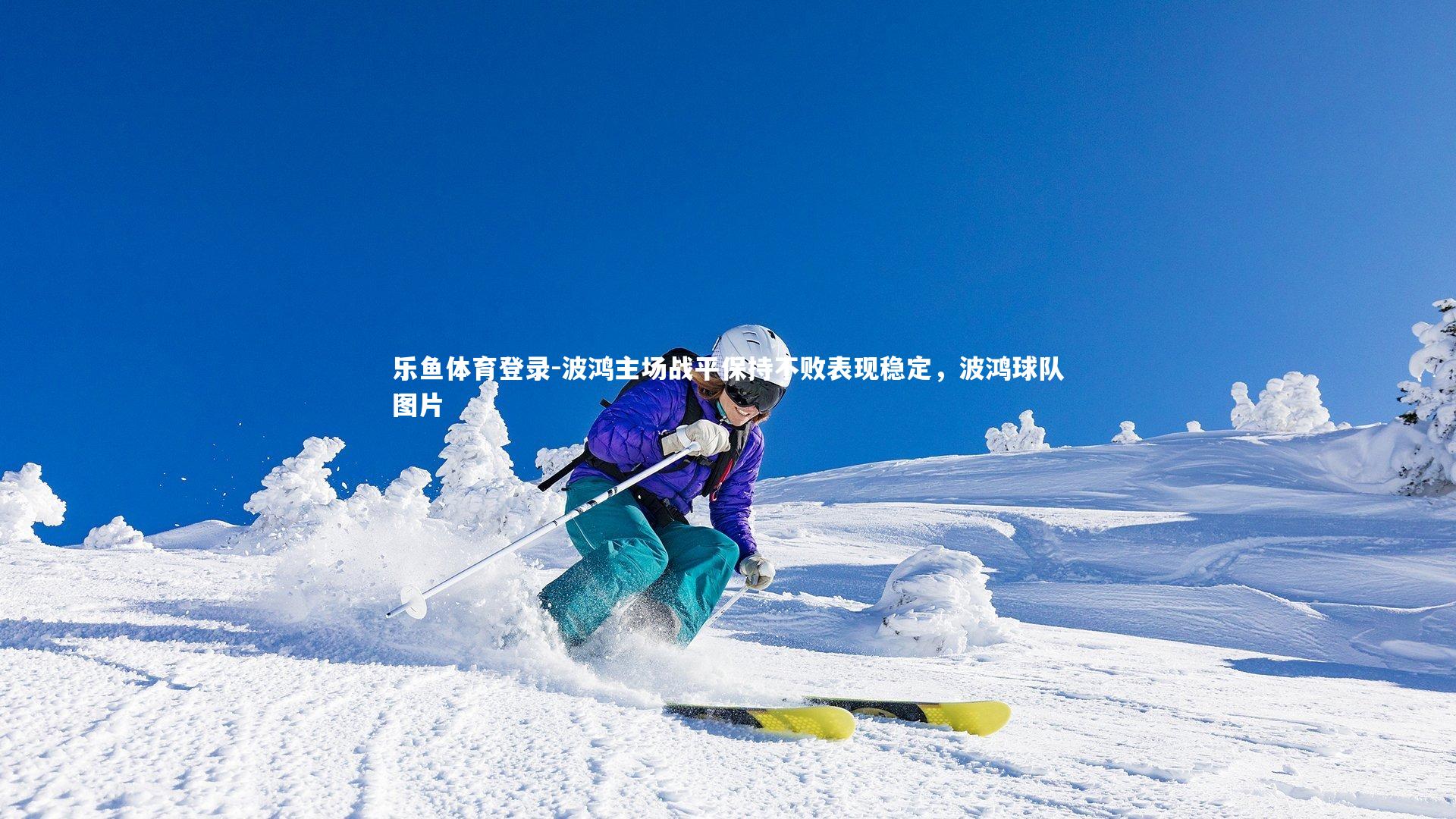 波鸿主场战平保持不败表现稳定,波鸿球队图片