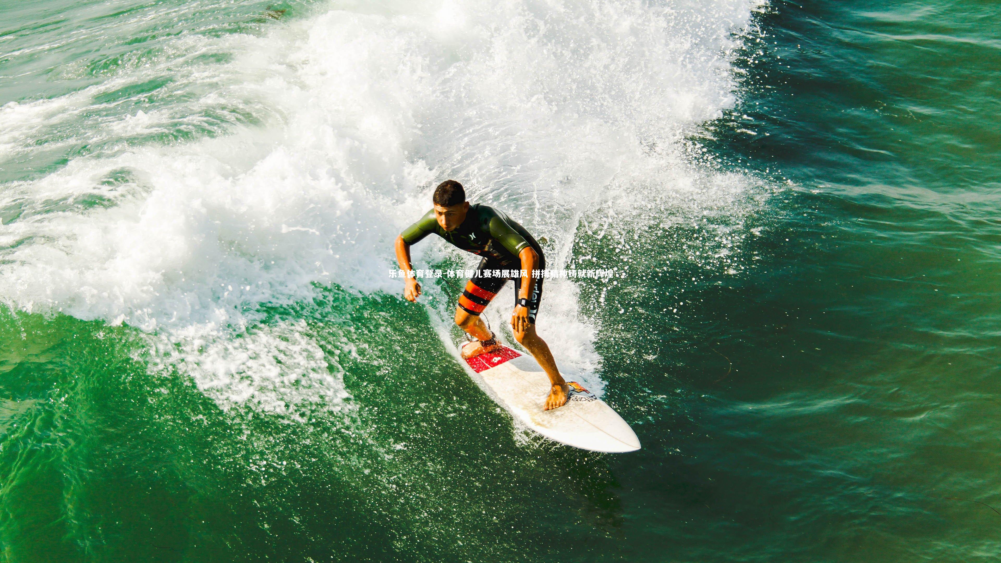 乐鱼体育登录-体育健儿赛场展雄风 拼搏精神铸就新辉煌