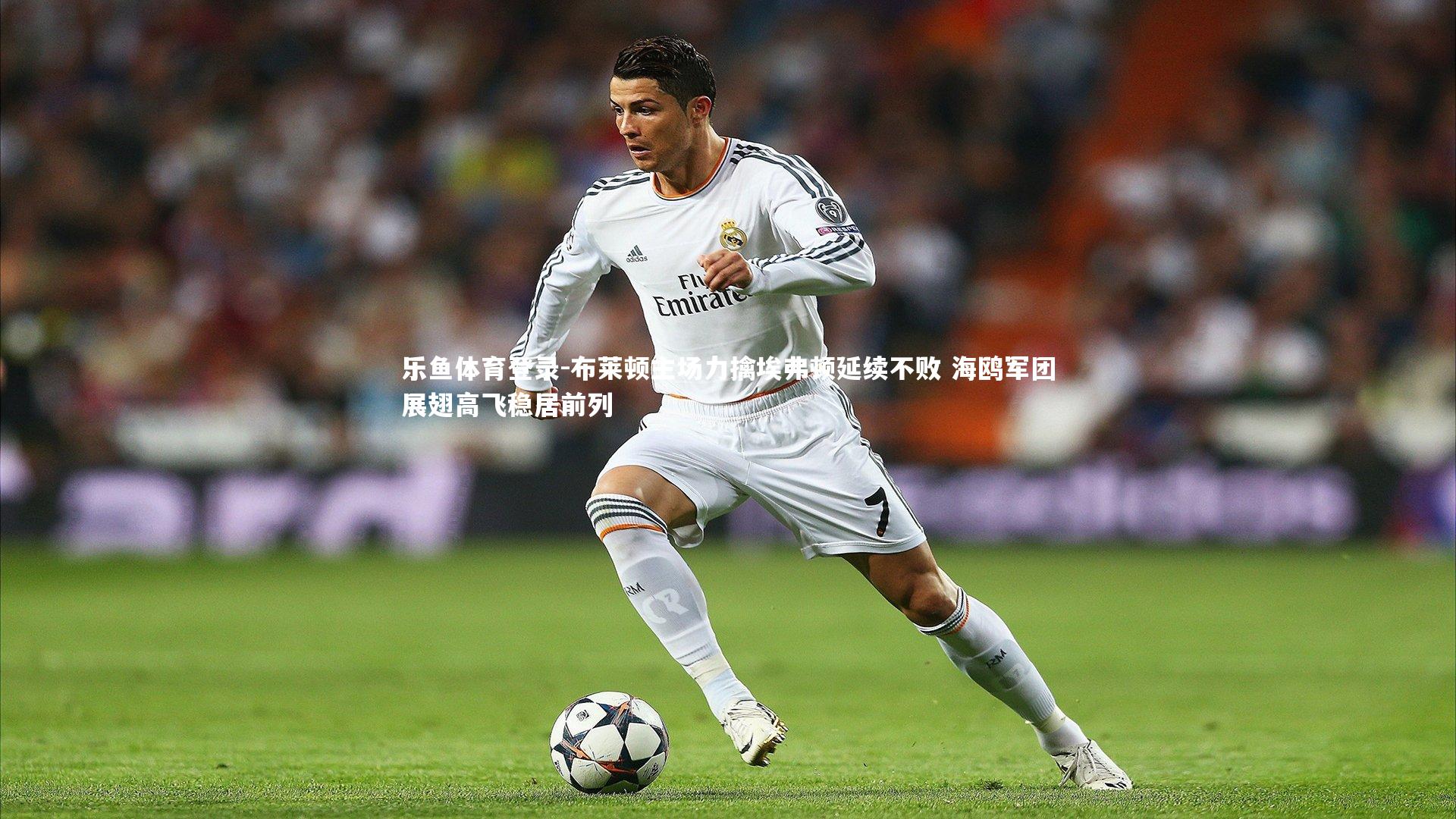 布莱顿主场力擒埃弗顿延续不败 海鸥军团展翅高飞稳居前列